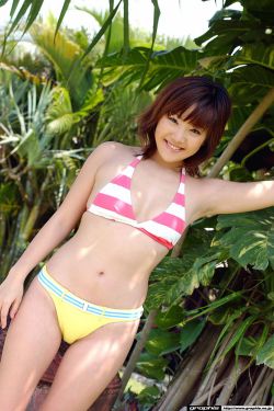 美人私房菜电视剧